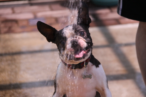 水あそび