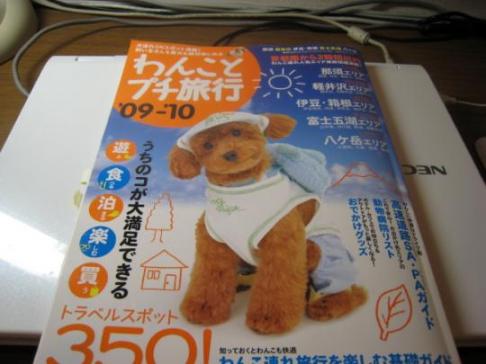 パンチ♪ どれにする?