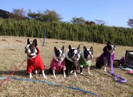 秋晴れに誘われて箱根に ♪~♪