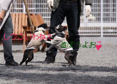 ちょっと前だけど・・・