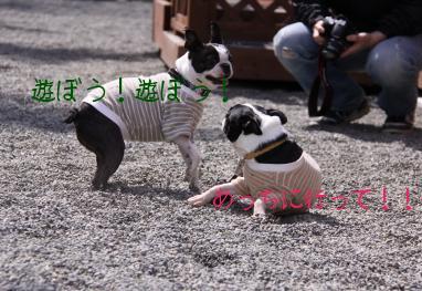 ちょっと前だけど・・・