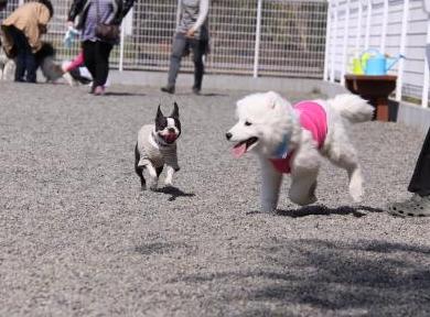 ちょっと前だけど・・・