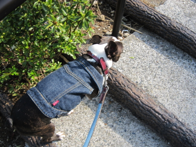 歴史公園オープン