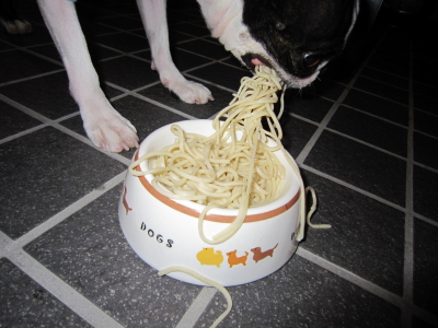 お蕎麦に悪戦苦闘です