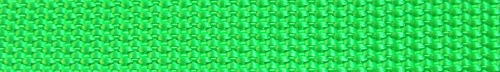PP010