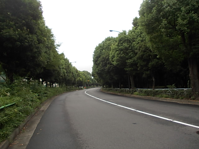 DSCN4828.jpg