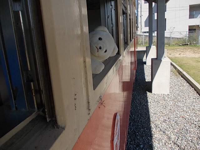 DSCN5185.jpg
