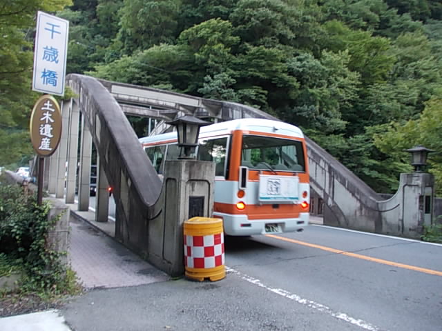 DSCN6016.jpg