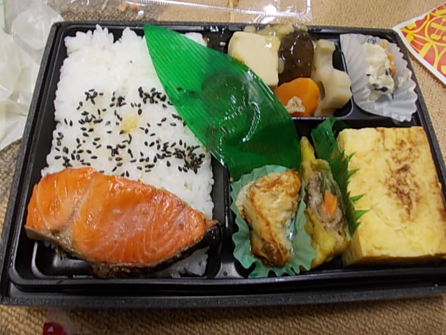 DSCN7370.jpg