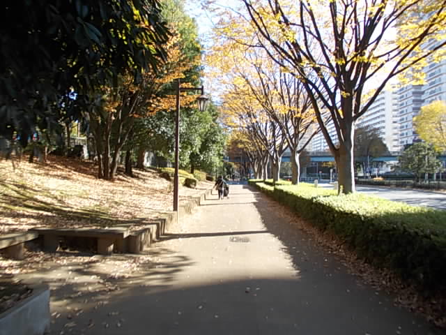 DSCN7913.jpg