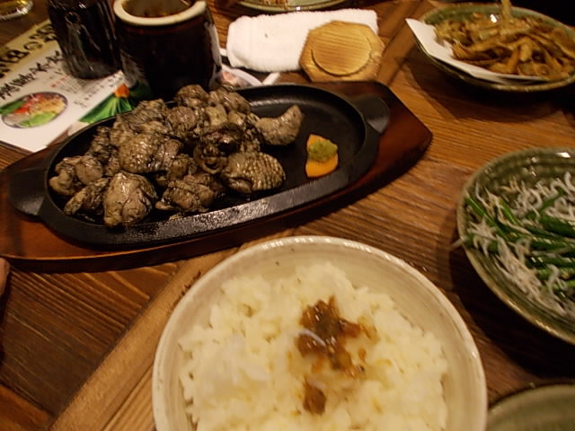 DSCN8328.jpg