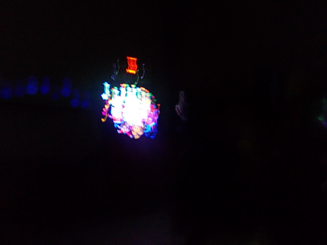 DSCN8711.jpg