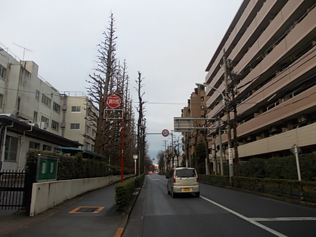 DSCN8797.jpg