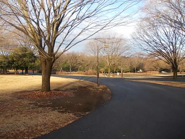 DSCN8801.jpg