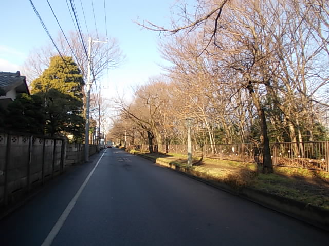 DSCN8802.jpg