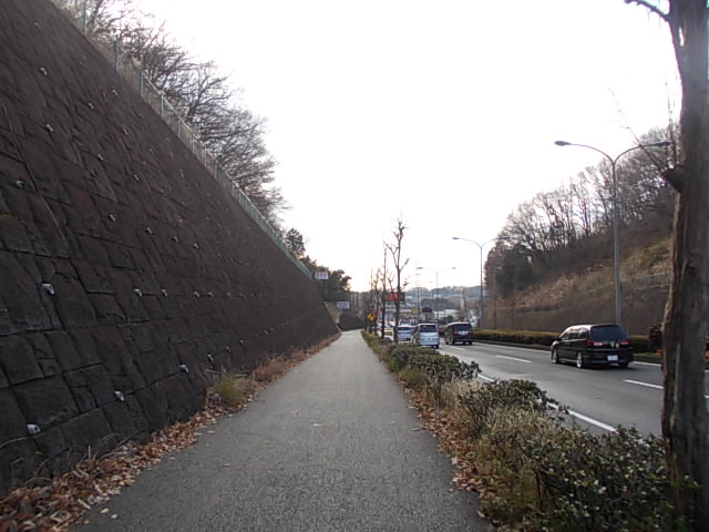 DSCN8805.jpg