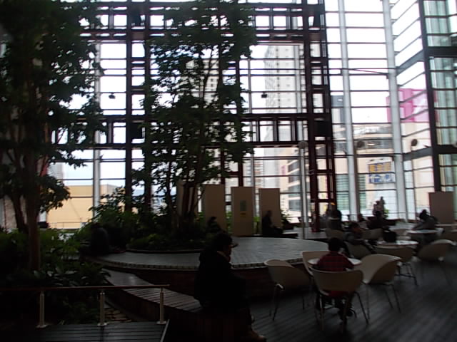 DSCN8823.jpg