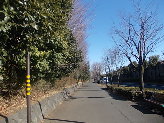 DSCN8891.jpg