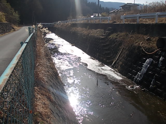 DSCN9026.jpg