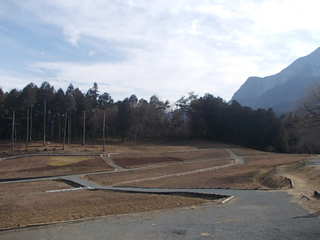 DSCN9032.jpg