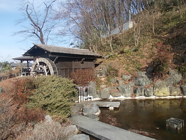 DSCN9038.jpg