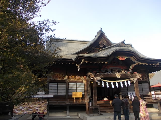 DSCN9047.jpg