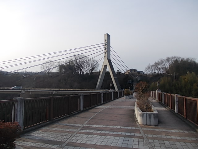 DSCN9058.jpg