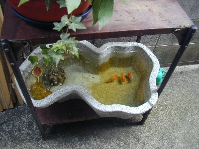 ひょうたん池