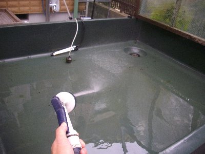 水変え