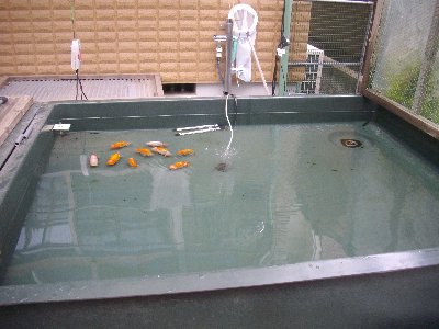 水変え