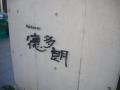 IMGP4546.jpg