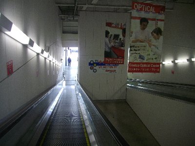 IMGP4732.jpg