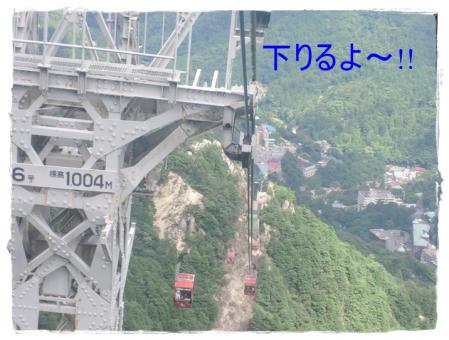 CIMG1223.jpg