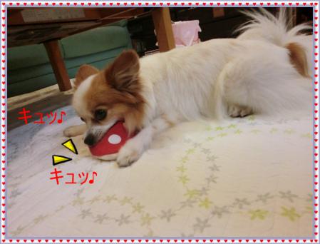 CIMG1481_20120822223901.jpg
