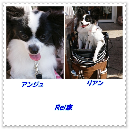 Rei家