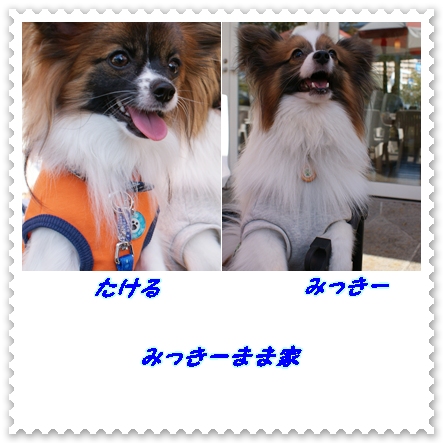 みっきーまま家