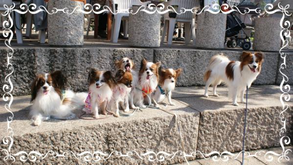 DSC08626.jpg