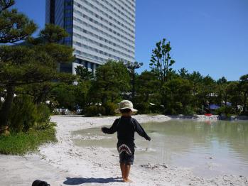 sheratonn 528