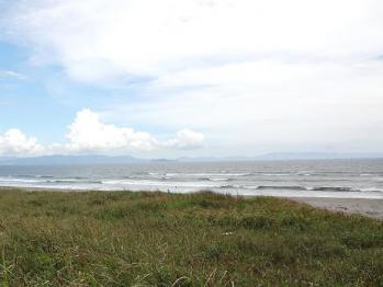 surf kogaura 358