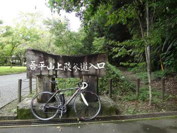 surf kogaura 371