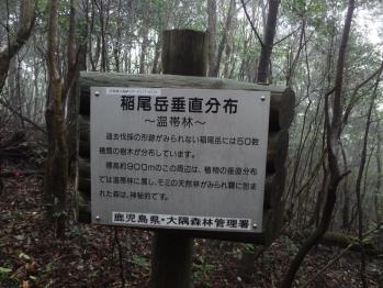 surf kogaura 406