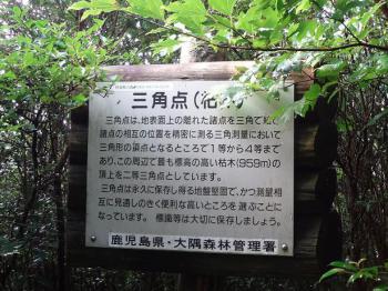 surf kogaura 399