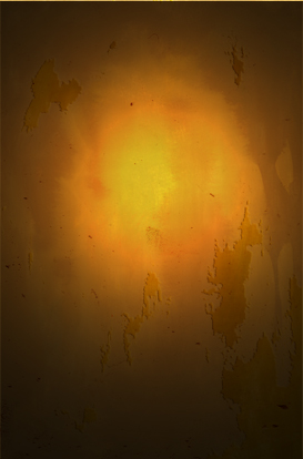kin03.jpg