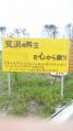 荒浜14