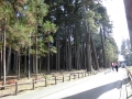 CIMG0056.jpg