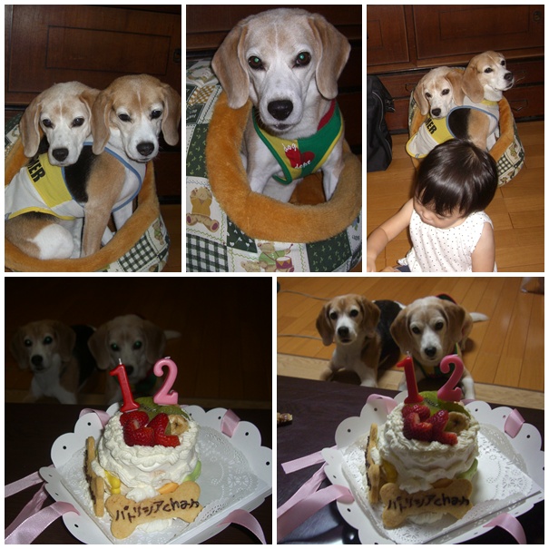 パティ12才♪