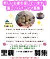 ねこちゃん貼り紙HP用-1