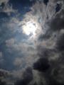 IMG_0782空