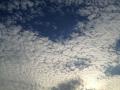 IMG_1887空