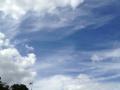 IMG_1599空